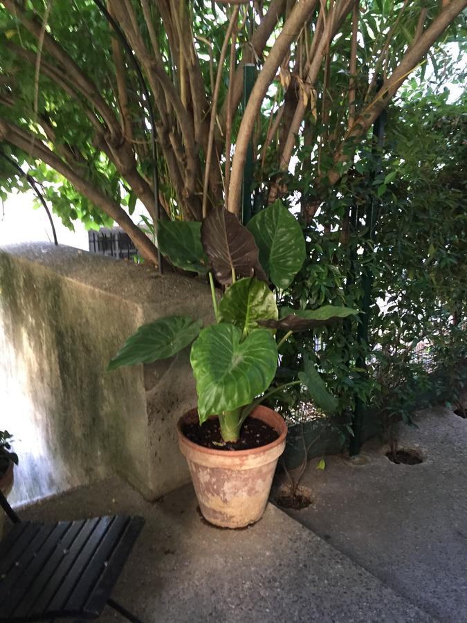 Face Au Palais Bed & Breakfast Avignon Exterior foto
